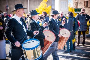 Fête du mimosa de Tanneron
