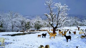 Sous la neige La Ferme des Cairns
